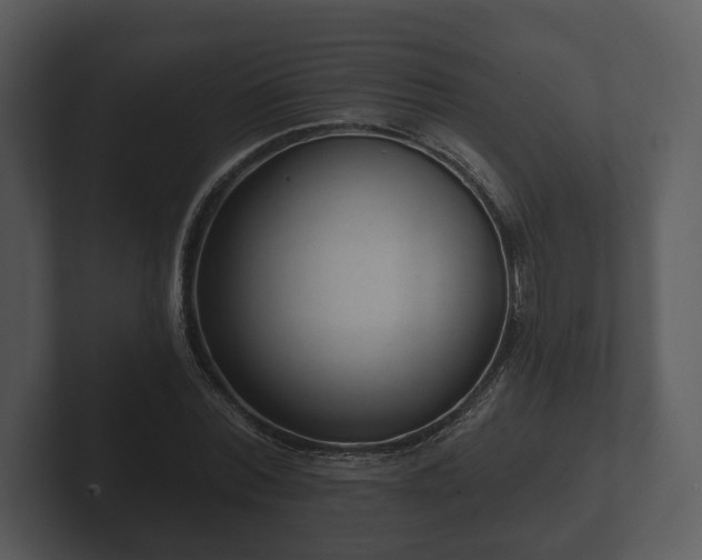 X0000103150780200808291429