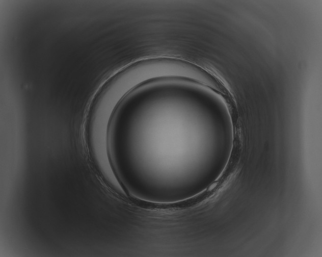 X0000103150781200808291429