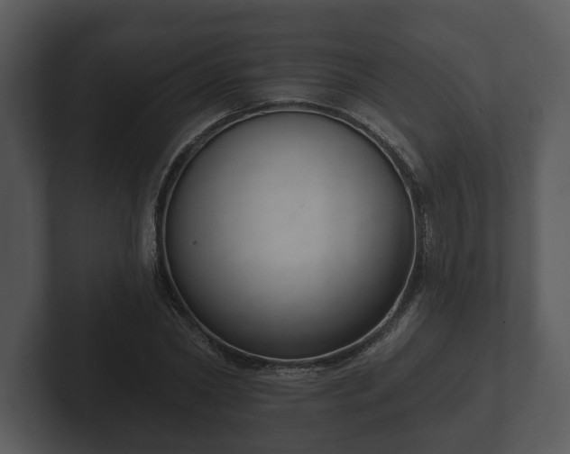 X0000103150782200808291429