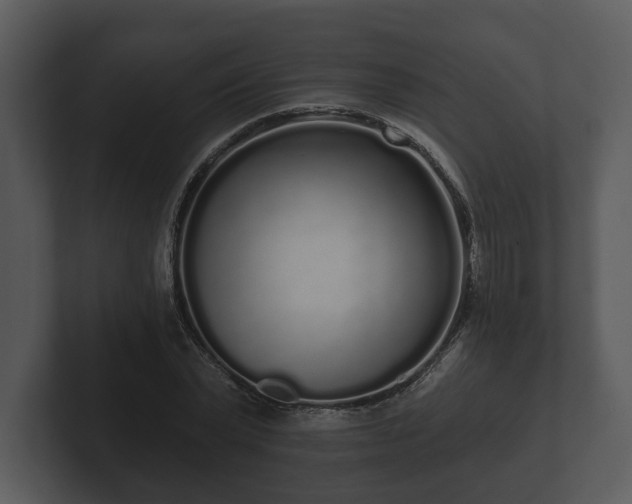 X0000103150783200808291429