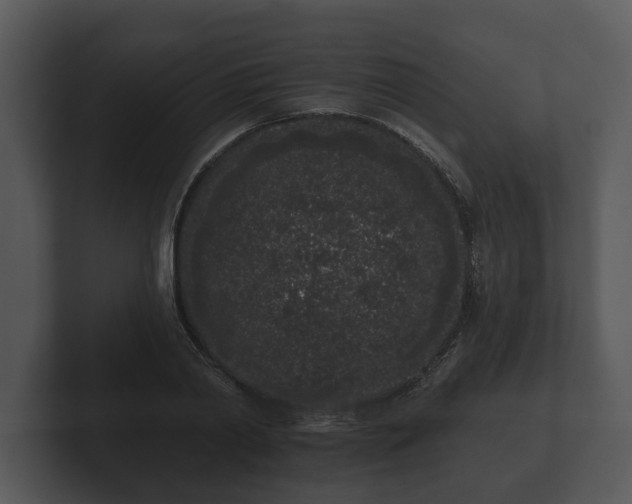 X0000103150790200808291429