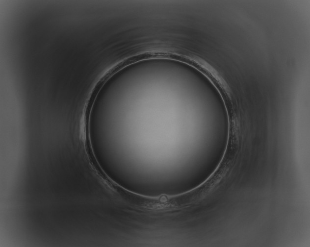 X0000103150791200808291429