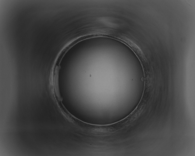 X0000103150792200808291429