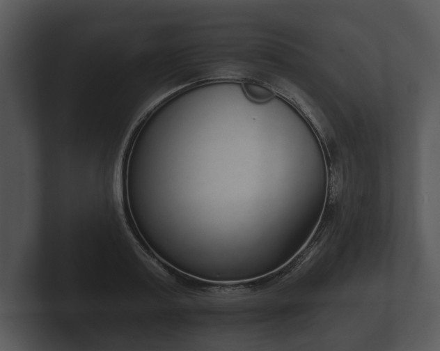 X0000103150795200808291429