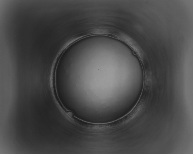 X0000103150803200808291429