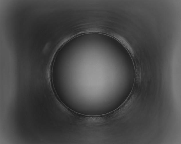 X0000103150805200808291429