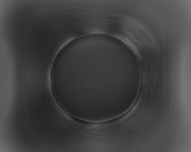 X0000103150806200808291429