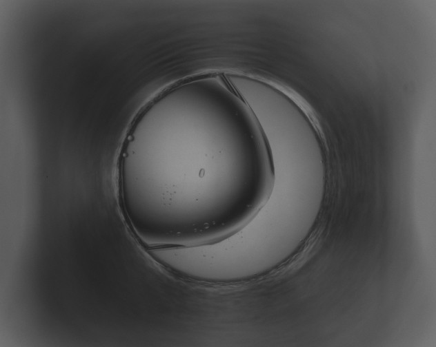 X0000103150807200808291429