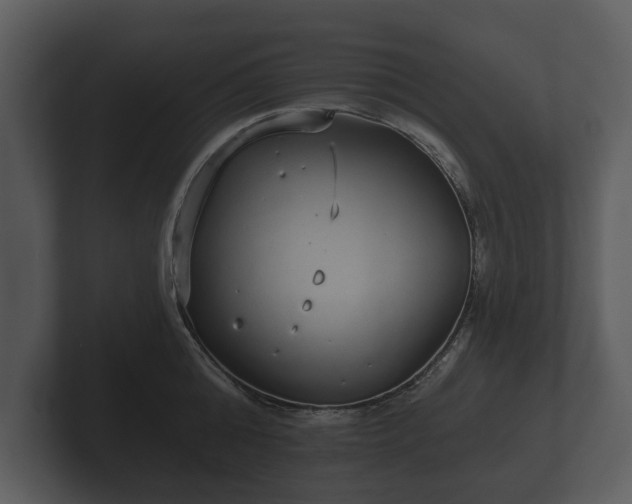 X0000103150808200808291429