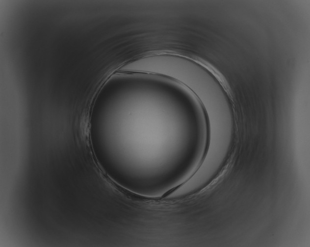 X0000103150809200808291429