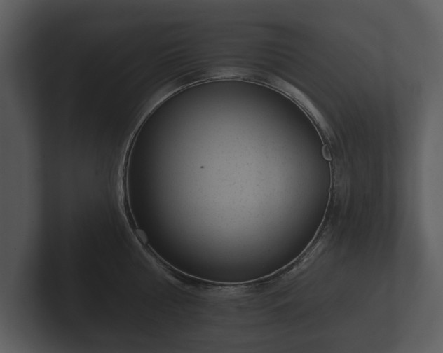 X0000103150810200808291429