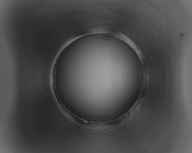 X0000103150811200808291429