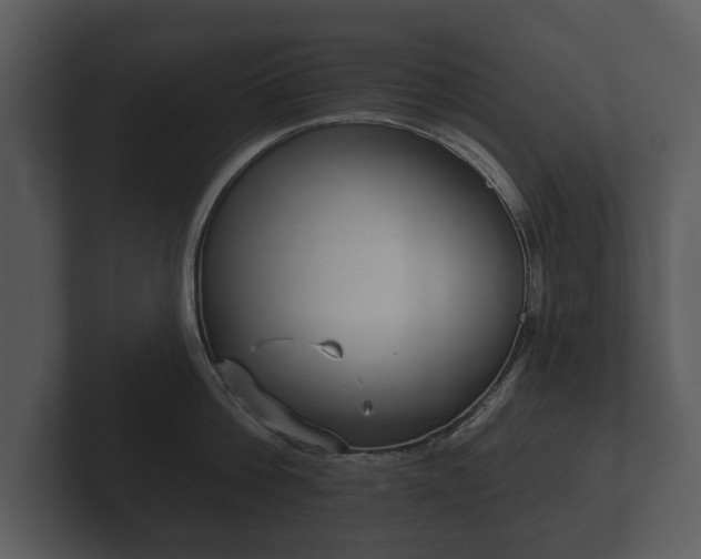 X0000103150812200808291429