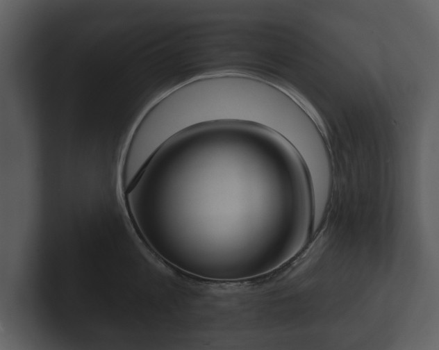 X0000103150813200808291429