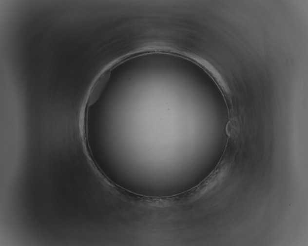 X0000103150815200808291428