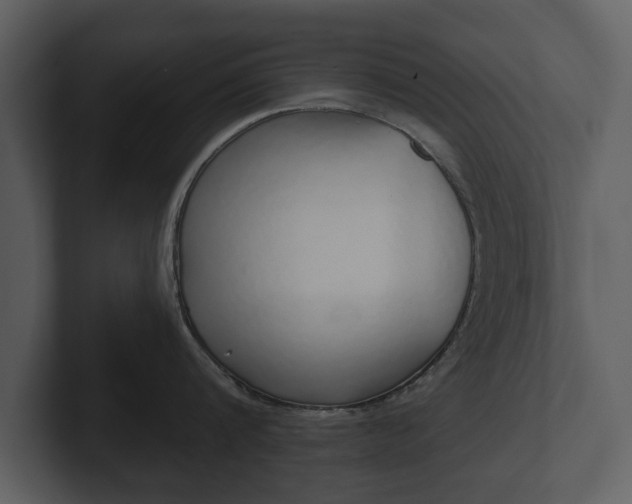 X0000103150816200808291428