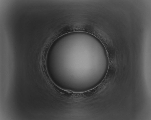 X0000103150817200808291428