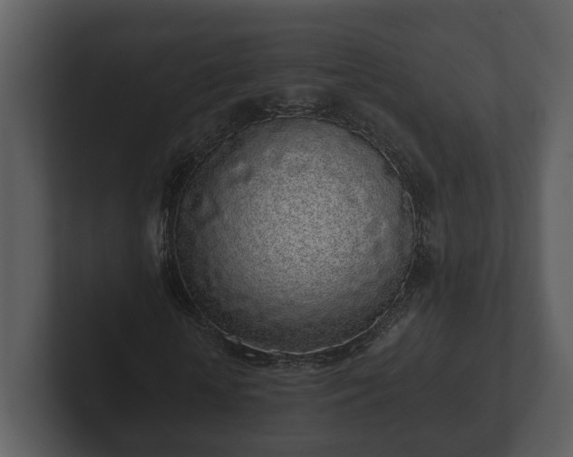 X0000103150818200808291428