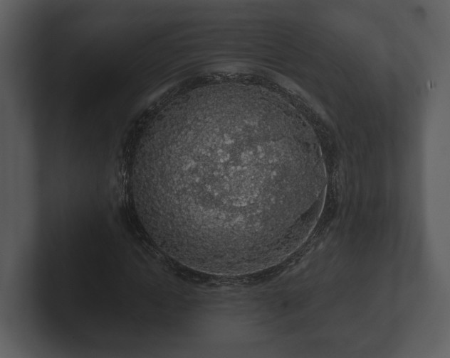 X0000103150822200808291428