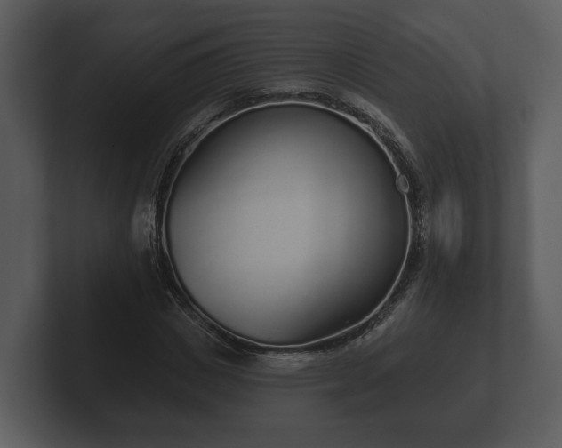 X0000103150825200808291428