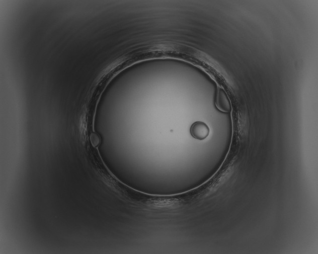 X0000103150826200808291428