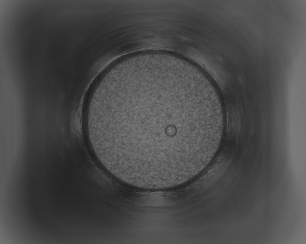 X0000103150828200808291428