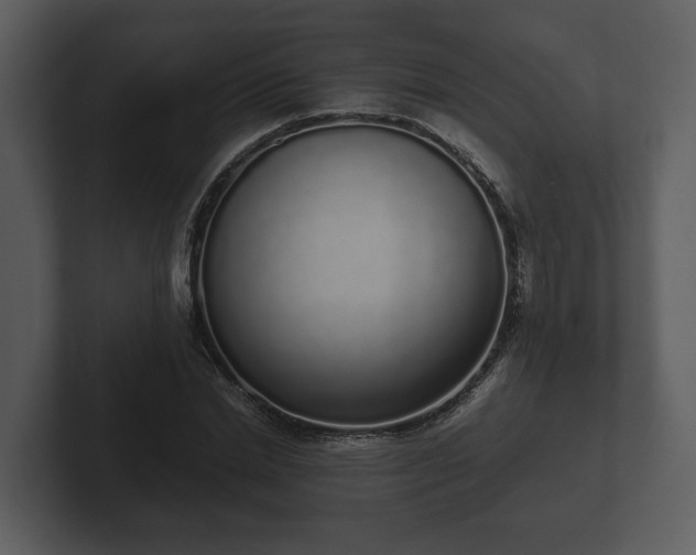 X0000103150830200808291428