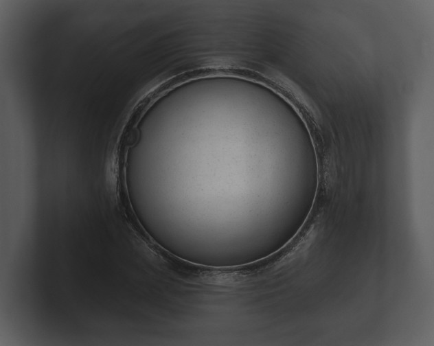 X0000103150831200808291428