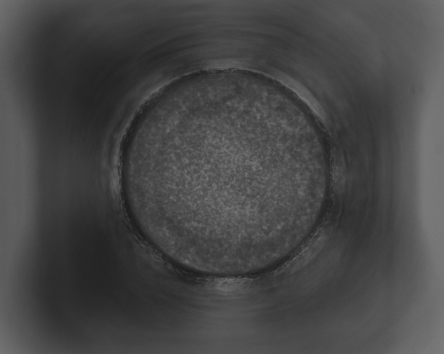 X0000103150832200808291428