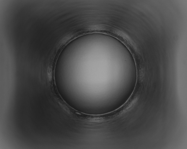 X0000103150833200808291428