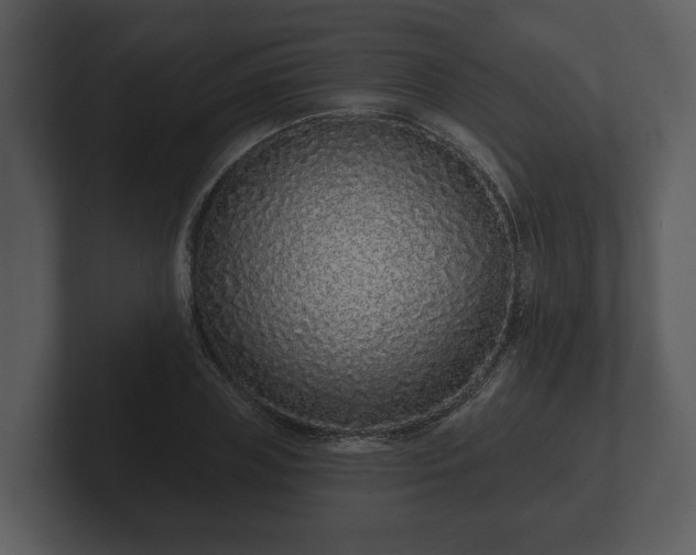 X0000103150835200808291428