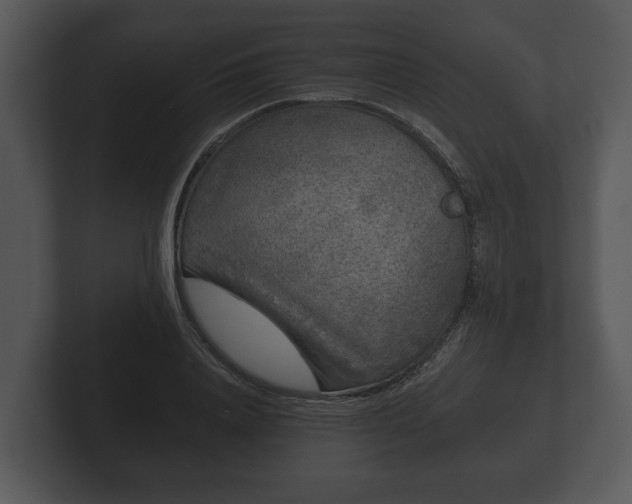 X0000103150840200808291428