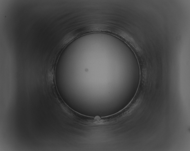 X0000103150841200808291428