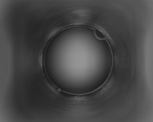 X0000103150842200808291428