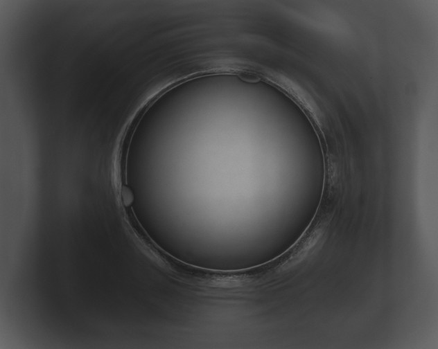 X0000103150843200808291428