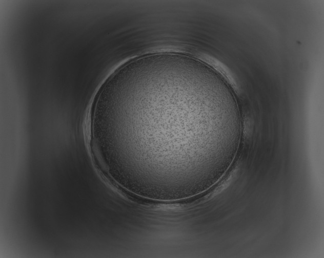 X0000103150844200808291428