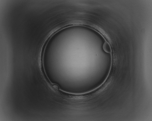 X0000103150845200808291428