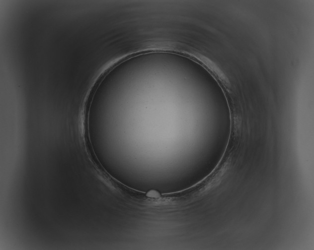 X0000103150846200808291428