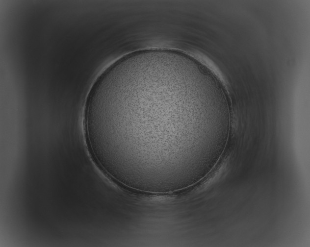 X0000103150847200808291428