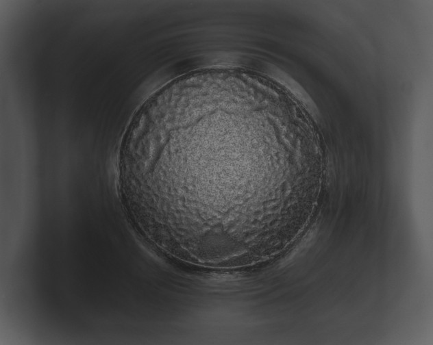 X0000103150850200808291428