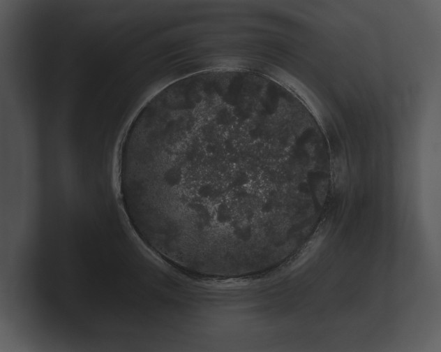 X0000103150851200808291428