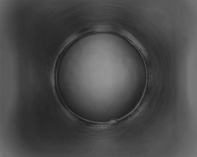 X0000103150853200808291428