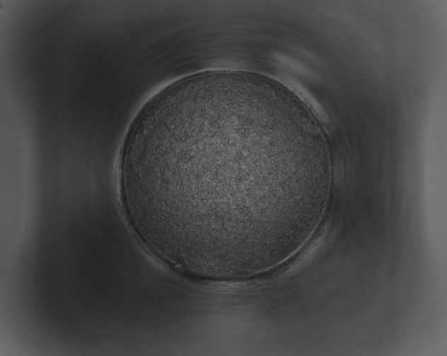 X0000103150854200808291428