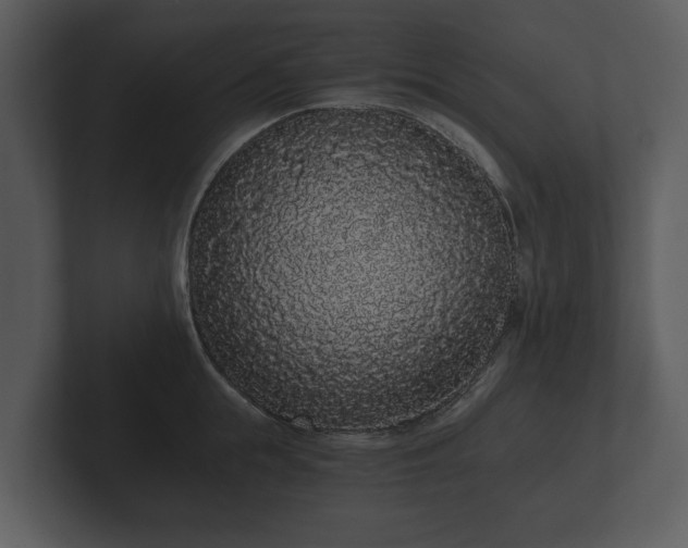 X0000103150855200808291428