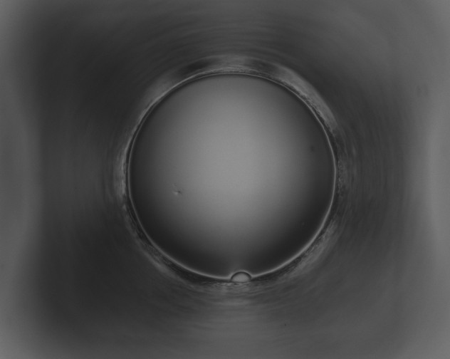 X0000103150858200808291428