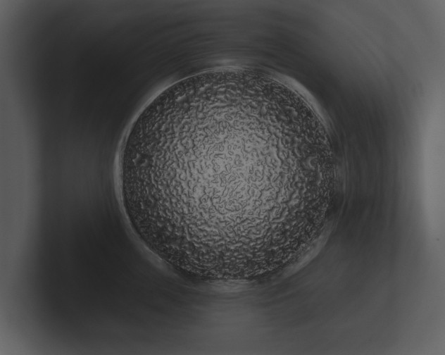 X0000103150859200808291428