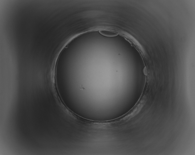 X0000103150860200808291428