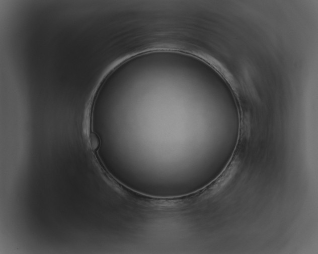 X0000103150862200808291428