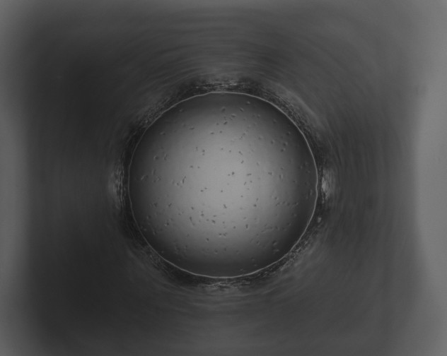 X0000103150867200808291428