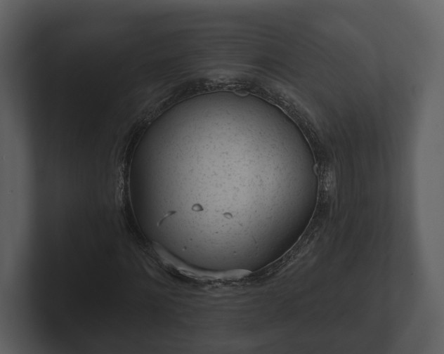 X0000103150868200808291428